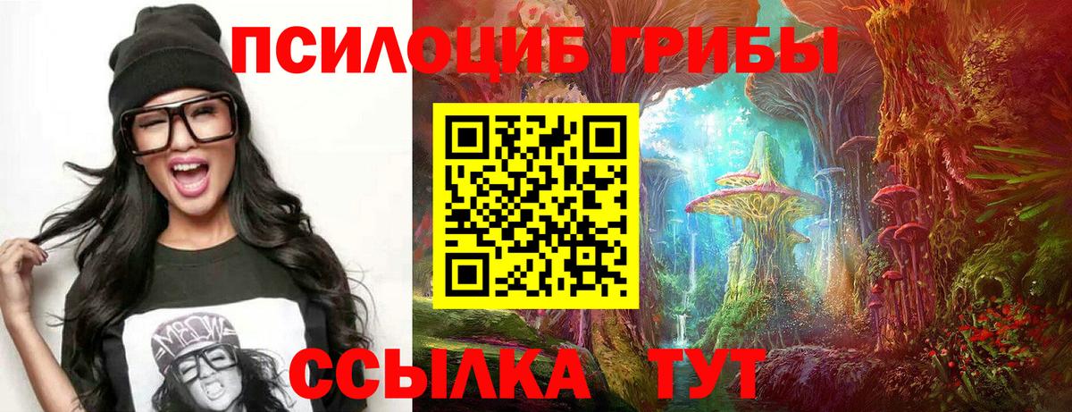Псилоцибиновые грибы прущие грибы  Вход с VPN  Карпинск 