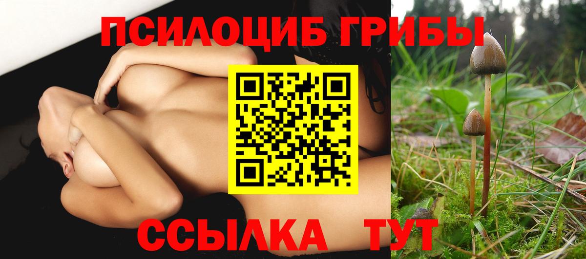 Галлюциногенные грибы ЛСД Карпинск